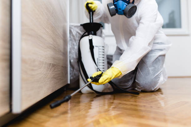 Pest Control Cost in Wilsonville, OR