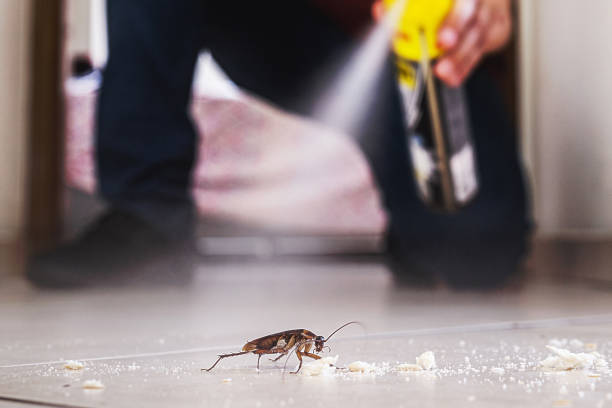 Best Best Pest Control Companies  in Wilsonville, OR